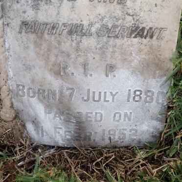 SPATH Louis 1880-1952 :: SPATH Sytze Louis 1913-1926