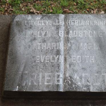 TRIEGAARDT Evelyn Gladstone :: TRIEGAARDT Catharina Maria :: TRIEGAARDT Evelyn Edith