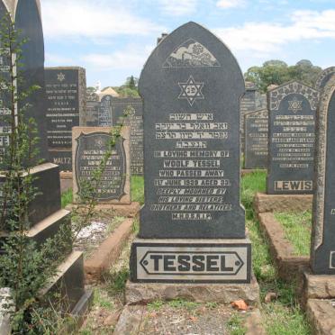 TESSEL Woolf -1939