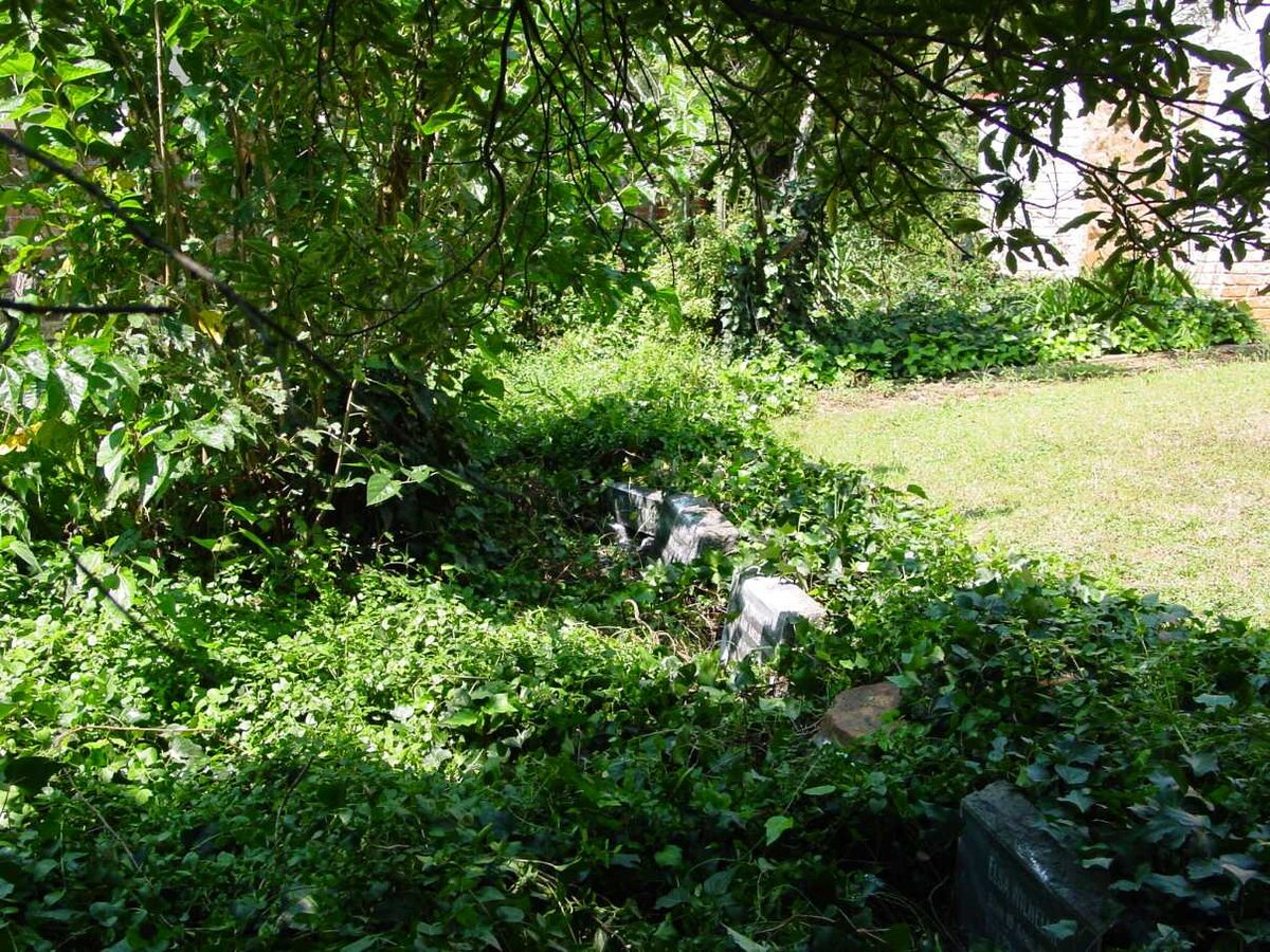 2. Overview / Oorsig