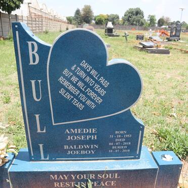 BALDWIN Amedie Joseph 1953-2018