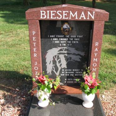 BIESEMAN Peter Jozef Raymond 1971-2000