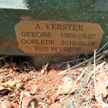 VERSTER A. 1960-2019