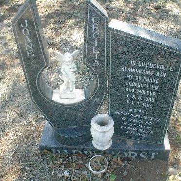 BADENHORST Joane Cecilia 1963-1989