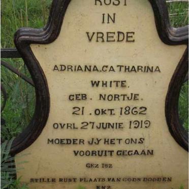 WHITE Adriana Catharina née NORTJE 1862-1919