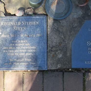 STEYN Reginald Stephen 1965-2002 :: SCHOEMAN Paul E. 1960-2000