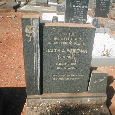 WEIDEMAN Jacob A. 1937-1953
