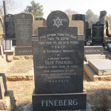 FINEBERG Tilly -1953