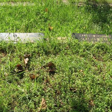 WILLS Jeremiah -1936 :: WILLS Frances -1934