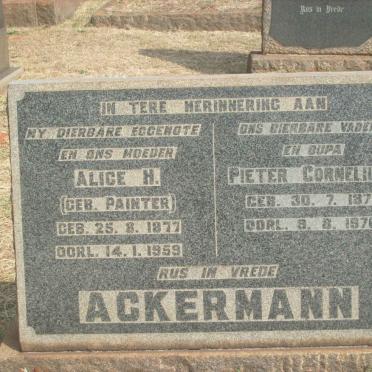 ACKERMANN Pieter Cornelius 1877-1976 &amp; Alice H. PAINTER 1877-1959