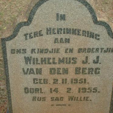 BERG Wilhelmus J.J, van den 1951-1955