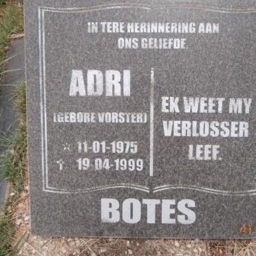 BOTES Adri nee VORSTER 1975-1999