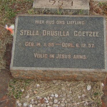COETZEE Stella Drusilla 1955-1957