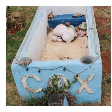 COX