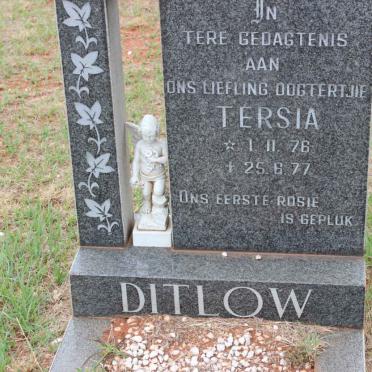 DITLOW Tersia 1976-1977