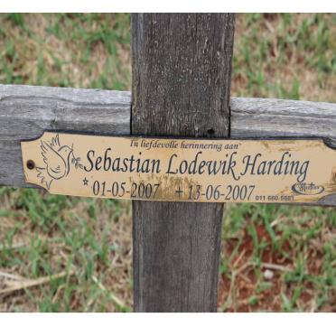 HARDING Sebastian Lodewik 2007-2007