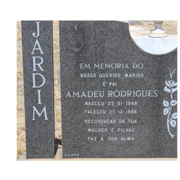 JARDIM Amadeu Rodrigues 1948-1986