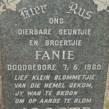 JOOSTE Fanie 1960-1960