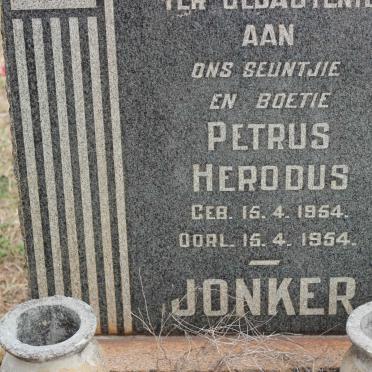 JONKER Petrus Herodus 1954-1954
