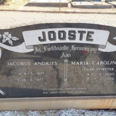 JOOSTE FAMILY
