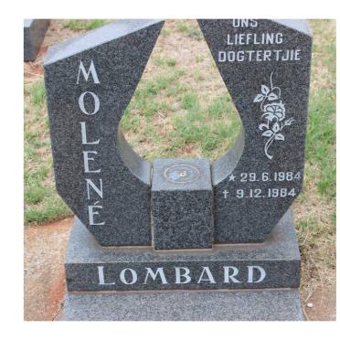 LOMBARD Molené 1984-1984
