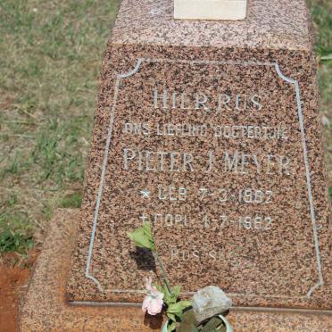 MEYER Pieter J. 1962-1962