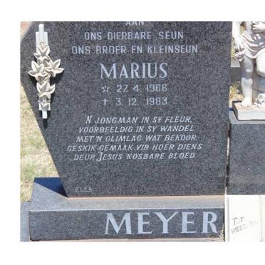 MEYER Marius 1966-1983