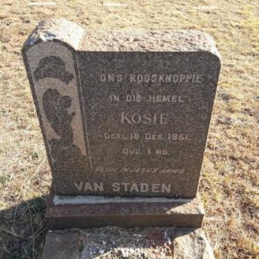 STADEN Kosie, van -1951