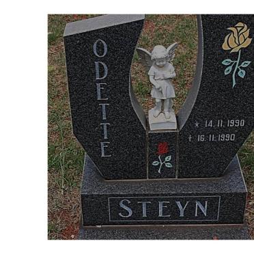 STEYN Odette 1990-1990