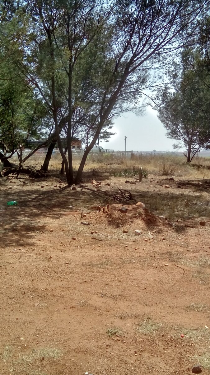 1. Overview / Oorsig