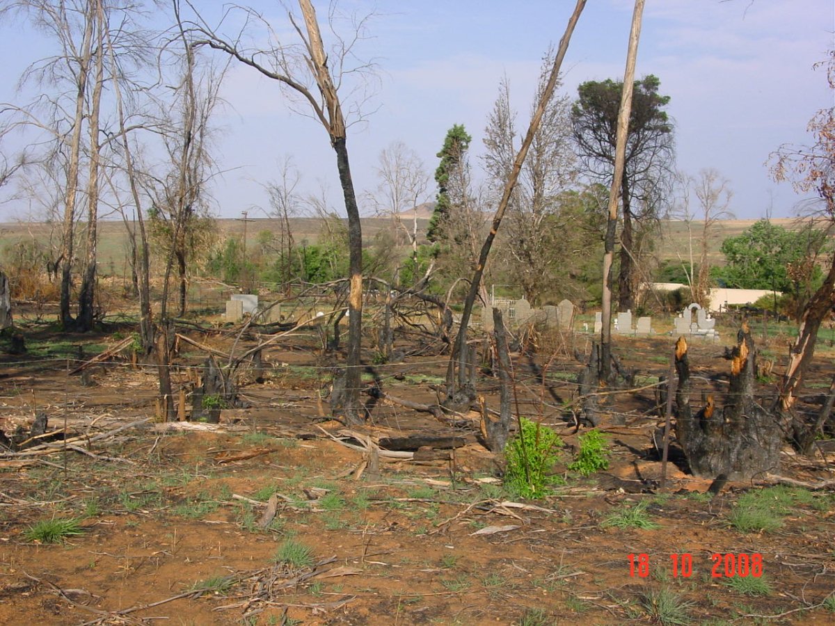 1. Overview