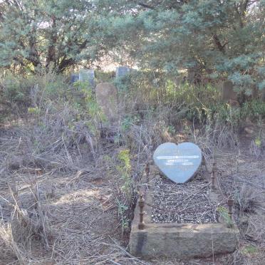 Gauteng, NIGEL district, Witkop 330 IR, Witkop 25, farm cemetery_6