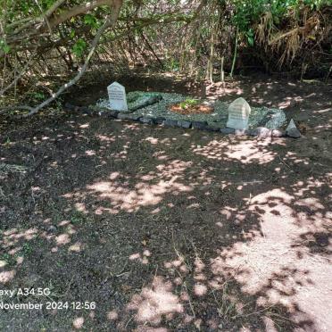 1. Overview graves 
