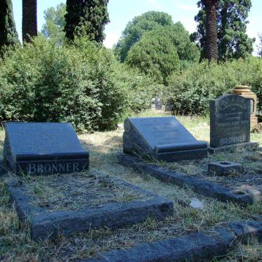 2. BRONNER-grafte