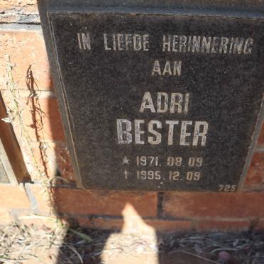 BESTER Adri 1971-1995