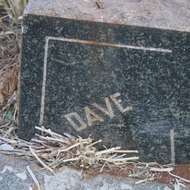 ? Dave
