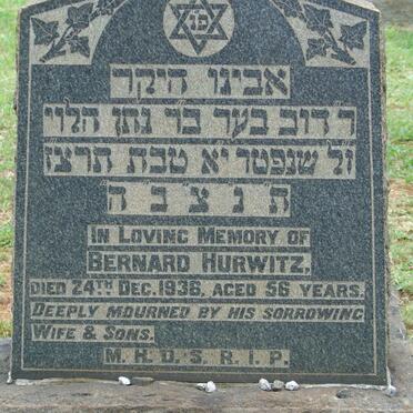 HURWITZ Bernard -1936