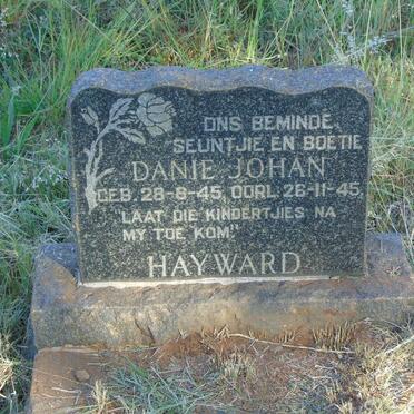 HAYWARD Danie Johan 1945-1945