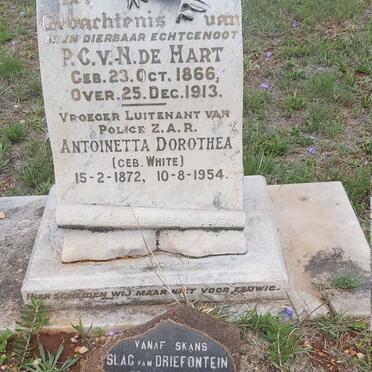 HART P.C. van N., de 1866-1913 &amp; Antoinetta Dorothea WHITE 1872-1954