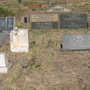 HEERDEN, van :: MULLER :: SPRUYT :: DIQUE