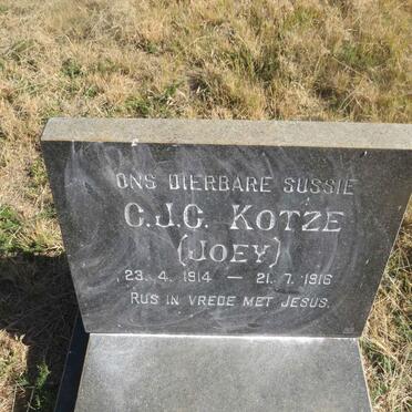 KOTZE C.J.C. 1914-1916