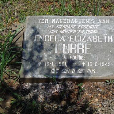 LUBBE Engela Elizabeth nee FOURIE 1901-1949