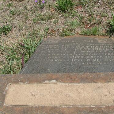 MARITZ Cornelius Janse 1859-1940 &amp; Catharina Petronella SCHEEPERS 1868-1950
