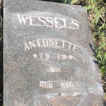 WESSELS Antonette 1971-1971