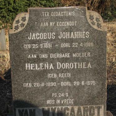 WYNGAARDT Jacobus Johannes, van 1891-1960 & Helena Dorothea REED 1890-1975