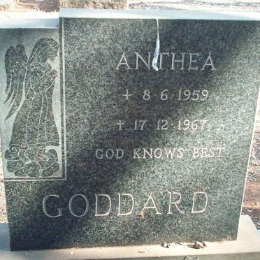 GODDARD Anthea 1959-1967