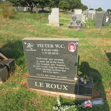 ROUX Pieter W.C., le 1990-2010
