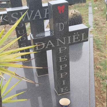 SWART Daniel 1980-2002 _2