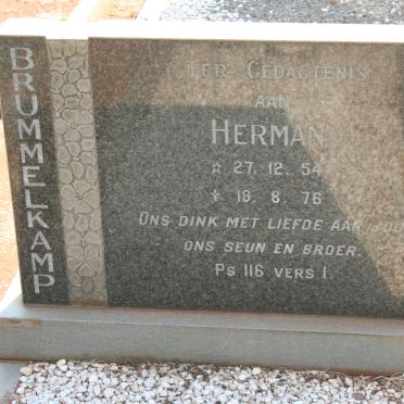 BRUMMELKAMP Herman 1954-1976