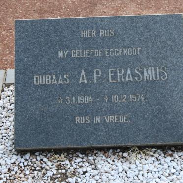 ERASMUS A.P. 1904-1974